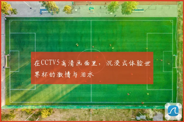 在CCTV5高清画面里，沉浸式体验世界杯的激情与泪水