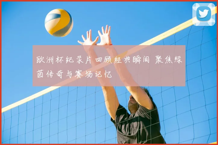 欧洲杯纪录片回顾经典瞬间 聚焦绿茵传奇与赛场记忆